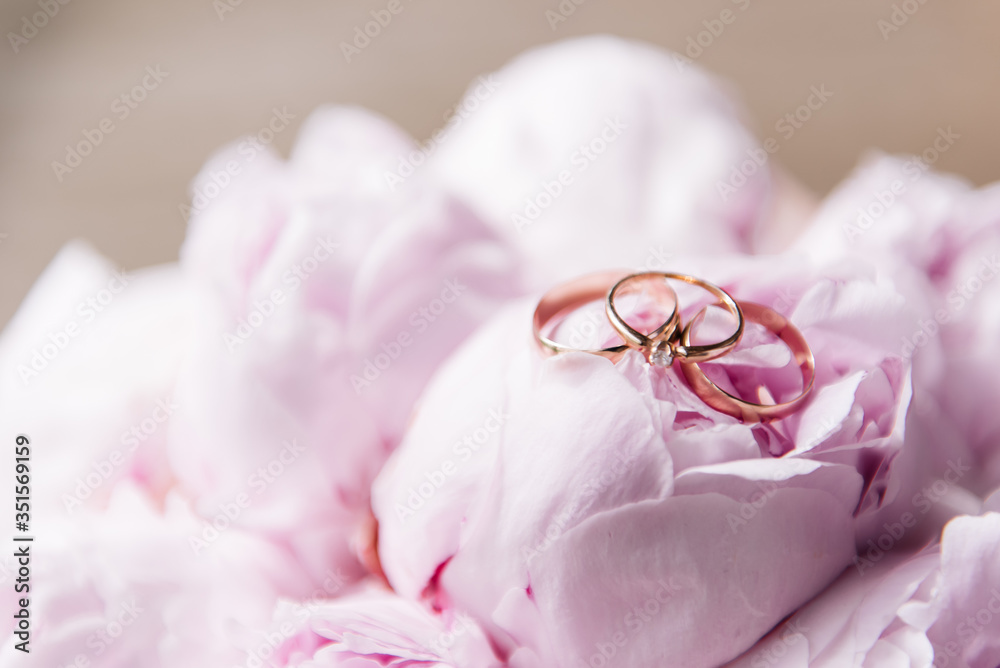 Wedding rings on a background of pink peonies Wedding rings on a background of pink peonies