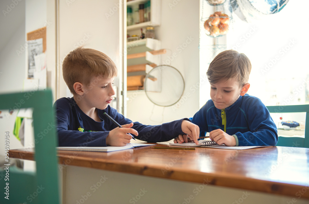 Brothers learning at home, Homeschooling Brothers learning at home, Homeschooling