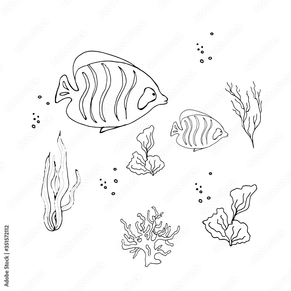 Obraz premium Set of different fish and creatures and algae, shark, dolphin, turtle.World Ocean Day.Fish and marine life.Coloring book for children. Vector illustration in doodle style. Isolate on a whit background