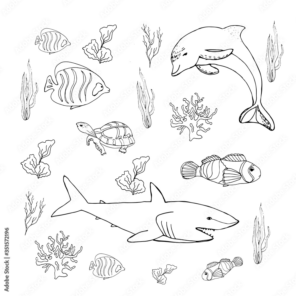 Set of different fish and creatures and algae, shark, dolphin, turtle.World Ocean Day.Fish and marine life.Coloring book for children. Vector illustration in doodle style. Isolate on a whit background
