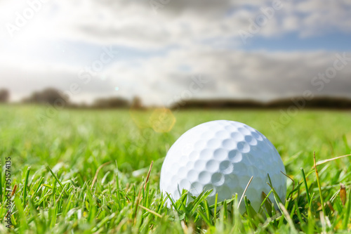 golfing ball on green