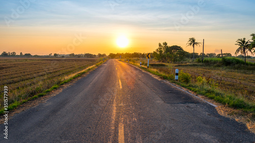 Road through the rice field at sunset