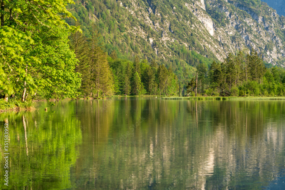 Ufer am Almsee in Oberösterreich