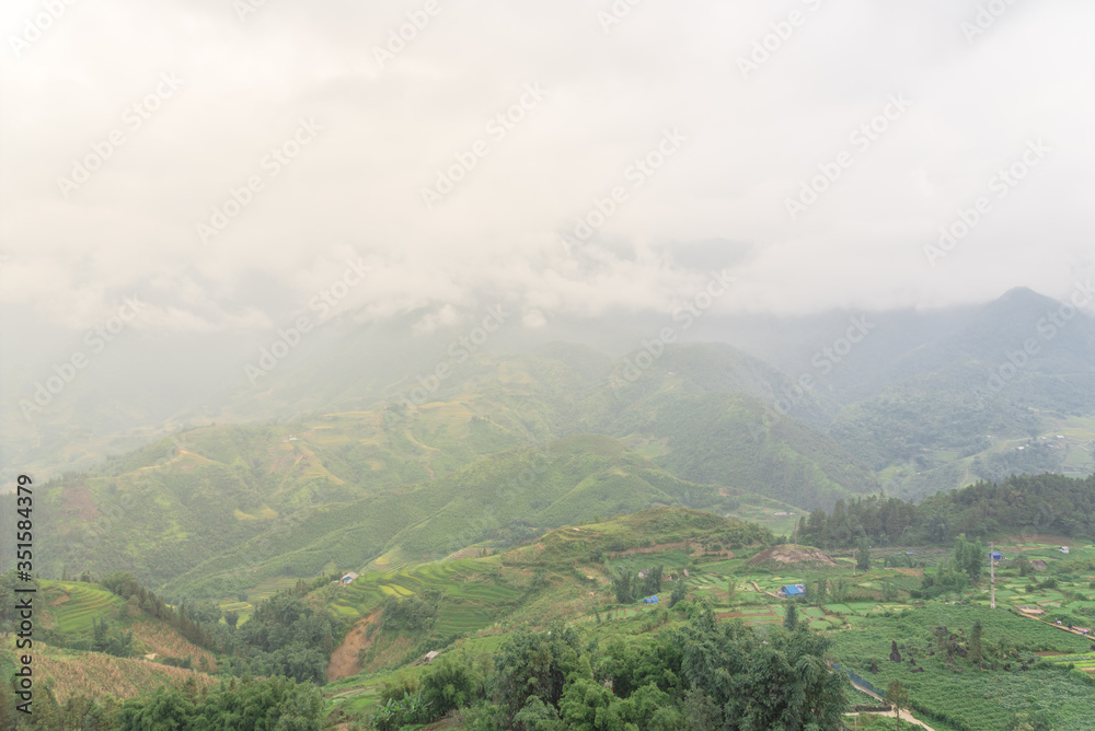Foggy valley mountain landscape with lush green field terrace rice paddy in Sapa, Northern Vietnam