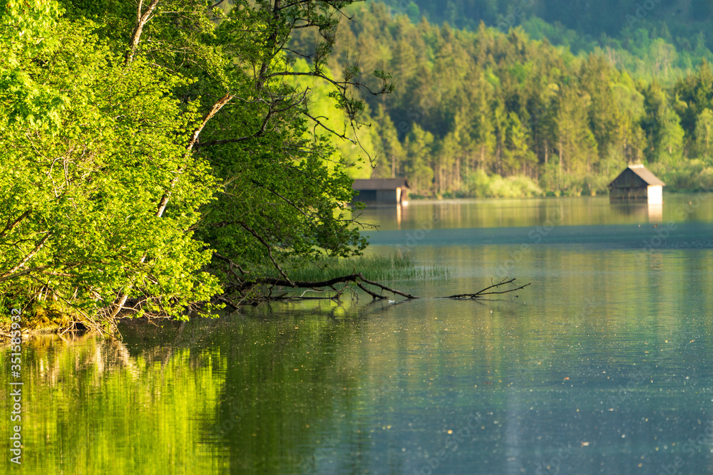 Ufer am Almsee mit Bootshütten 