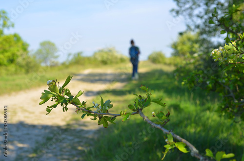 Hiking outdoor on a trail with blooming bushes and vegetation