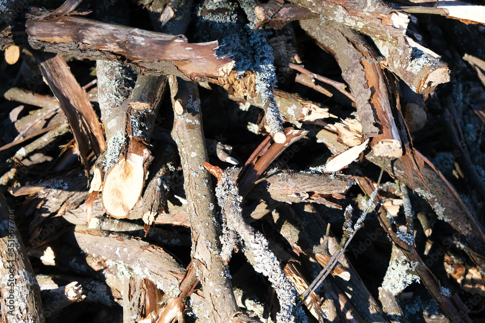 Dry old branches in broken form. Gray, scattered in different ways. Close-up. There is a place for inscription. Dry old branches in broken form. Gray, scattered in different ways. Close-up. There is a place for inscription.