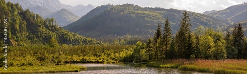 Waldlandschaft Panorama am Almsee in Oberösterreich