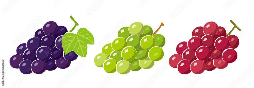 ぶどうのイラスト Stock Vector Adobe Stock