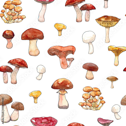 Watercolor hand drawn illustration seamless pattern background of Mushrooms with porcini, champignon, chanterelle, saffon milk cap, badius, yellow boletus, orange cap boletus, russula