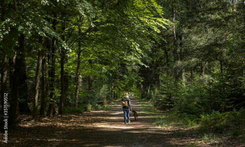 Walking the dog. Stroller in the woods. Dirtroad. Forest Sleenerzand. Sleen. Schoonoord Drenthe Netherlands