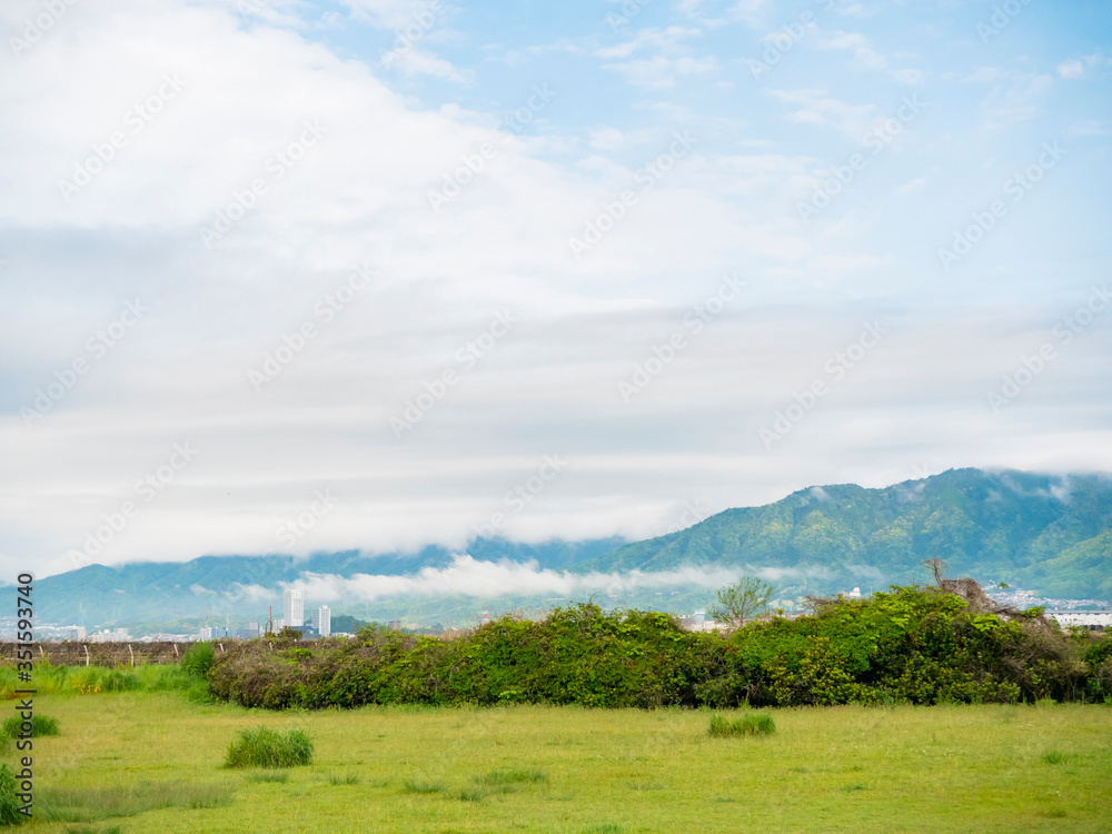 Obraz premium 雨上がりの朝