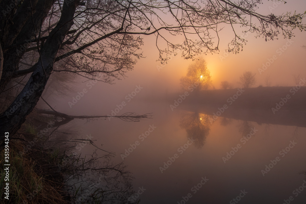
foggy sunrise on the lake