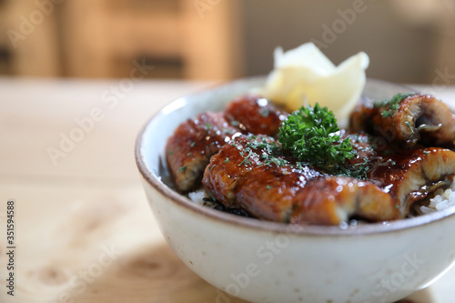 Japanese food unagi don , grilled eel on japanese rice on wood background