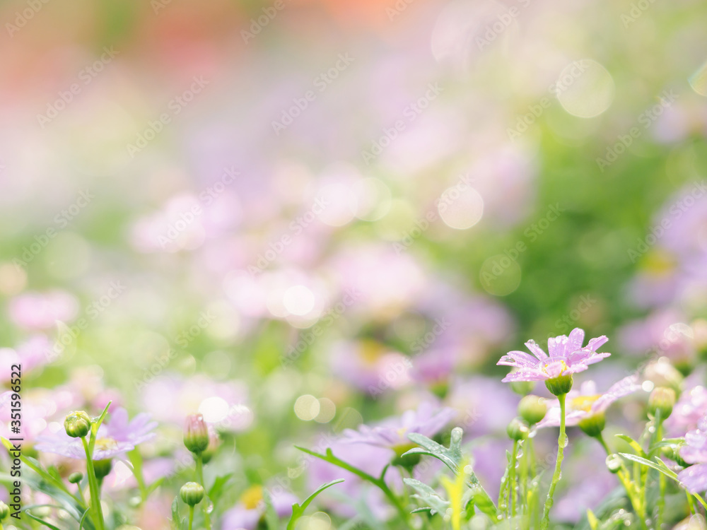 Obraz premium little pink flower in close up with raindrop in green background for space