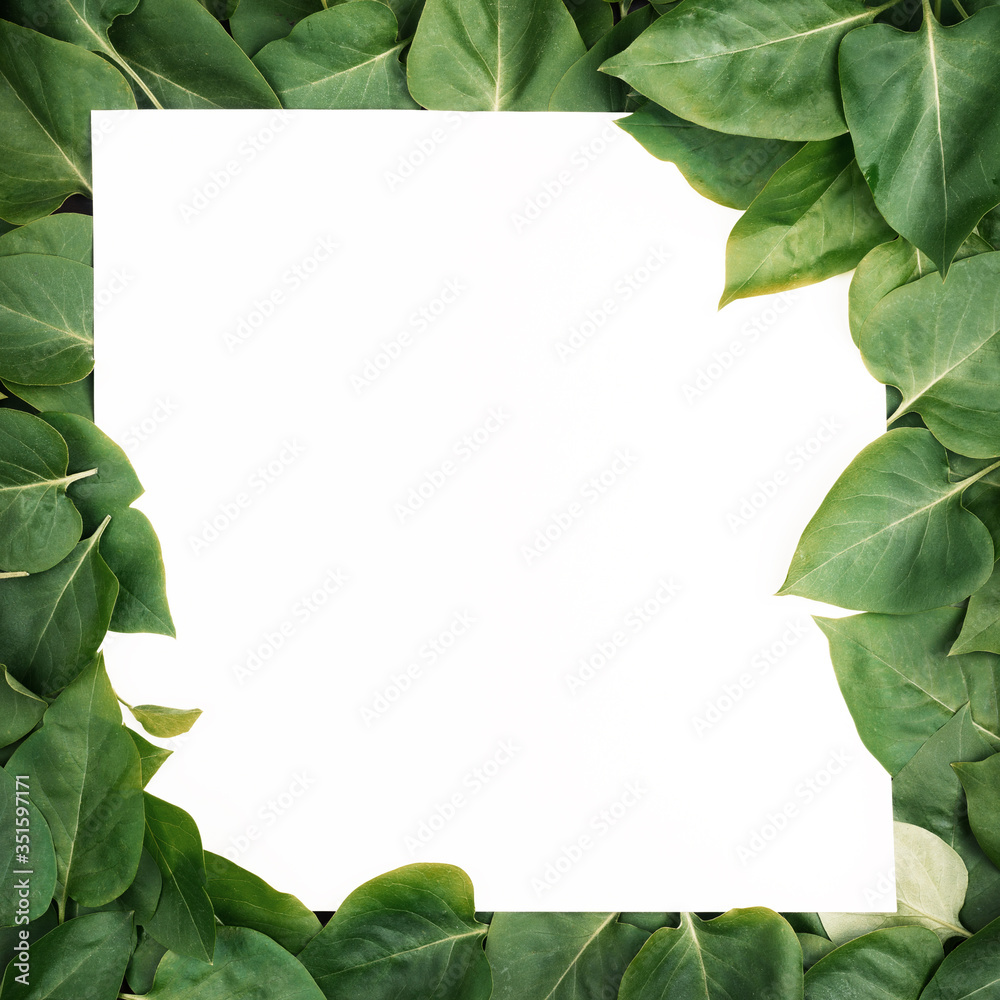 Fototapeta premium Creative layout composition frame of juicy green leaves with beautiful texture with paper card note, macro. Flat lay. Nature concept, copy space.