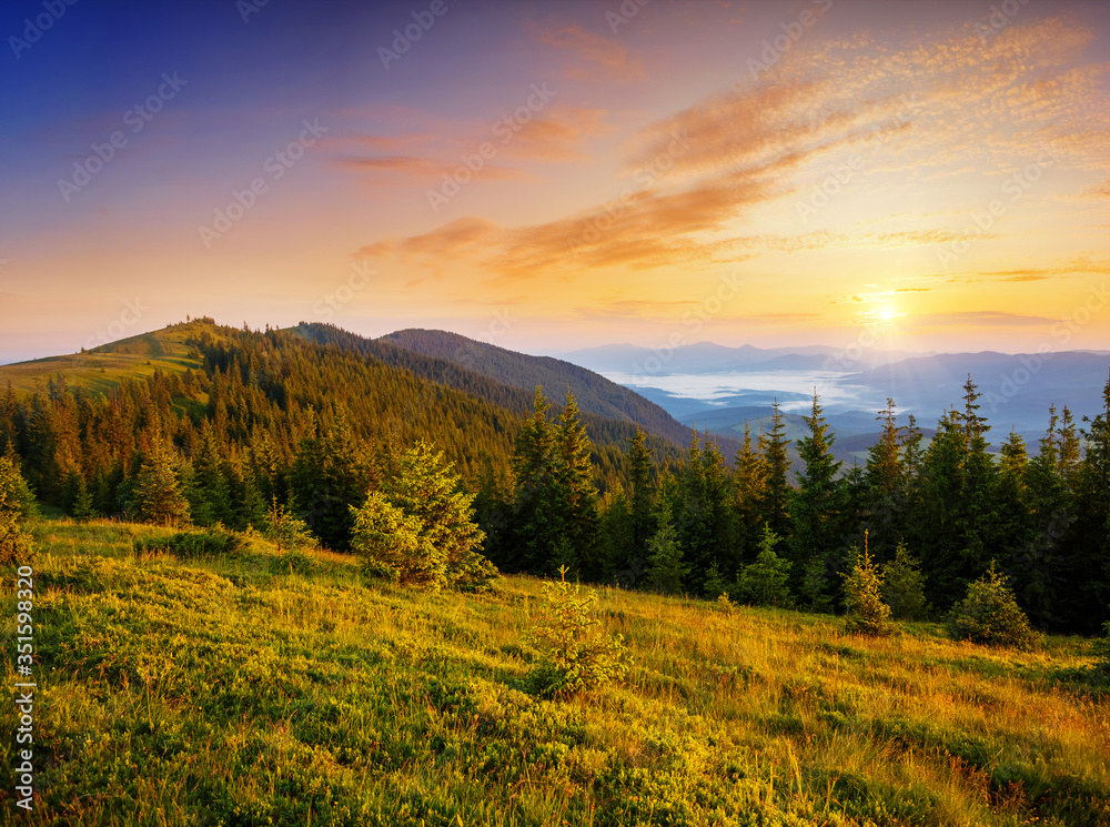 Idyllic panorama of misty mountains. Location place of Carpathians mountains, Ukraine.