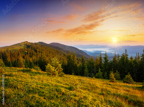 Idyllic panorama of misty mountains. Location place of Carpathians mountains, Ukraine.