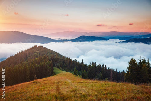 Morning panorama of misty mountains. Location place of Carpathians mountains, Ukraine.