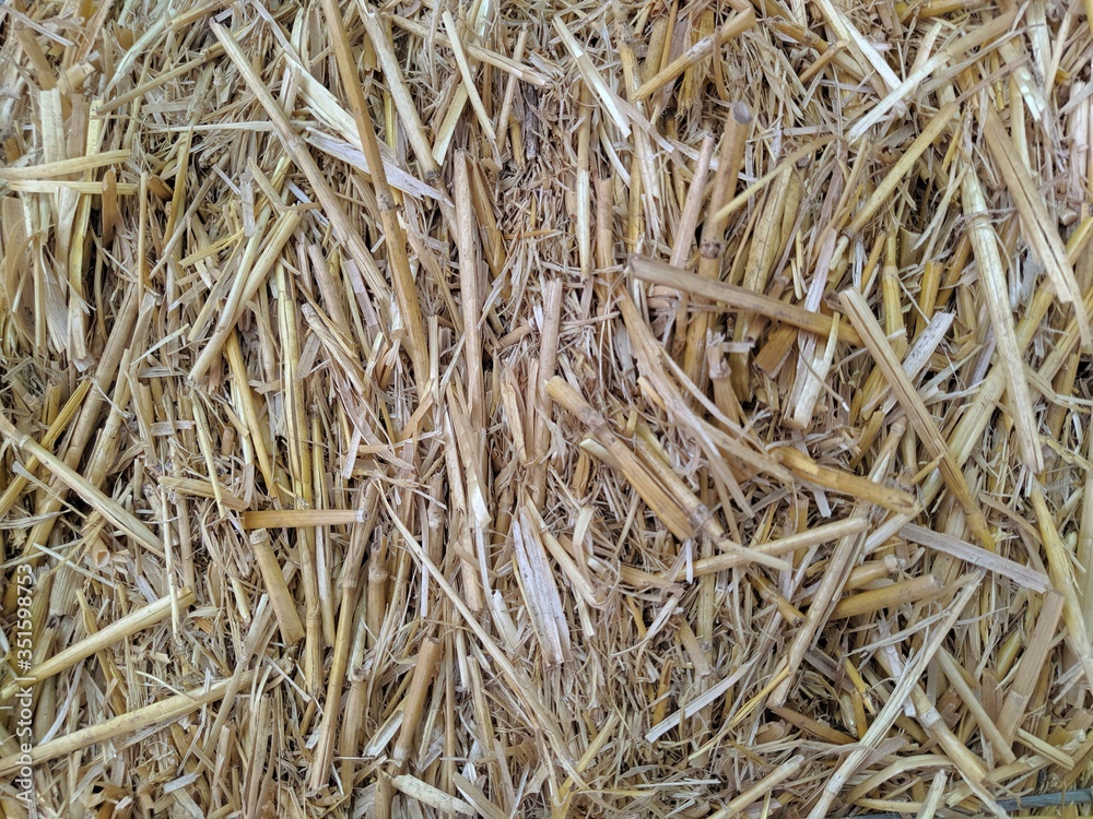 Photo background yellow straw dry grass