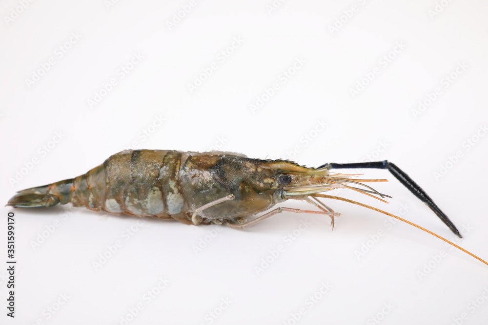 Raw prawn isolated in white baackground Raw prawn isolated in white baackground