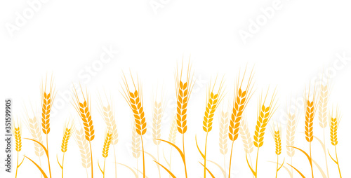 spiga di grano, spiga, grano, silhouette, agricoltura	
 photo