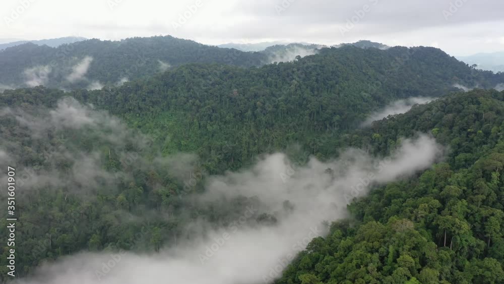 Rainforest and clouds. Aerial view of rain forest jungle. Mist,fog and mountains in Southeast Asia Rainforest and clouds. Aerial view of rain forest jungle. Mist,fog and mountains in Southeast Asia