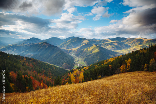 Captivating autumn forest on a mountain slope. Location place of Carpathian mountains, Ukraine.