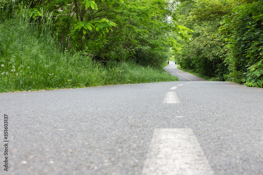 Curve bycicle road surrounded by trees. Copy space