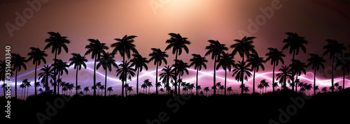 Night landscape with palm t...