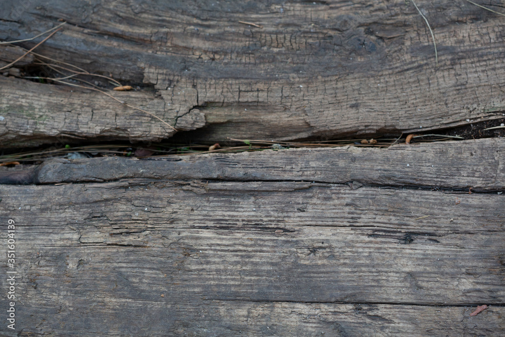 Naklejka premium Front view abstract wood pattern texture background