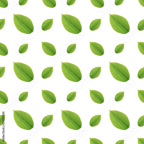 green leaves seamless pattern on white background