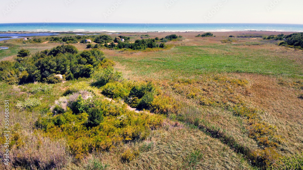 Natura selvaggia vista mare