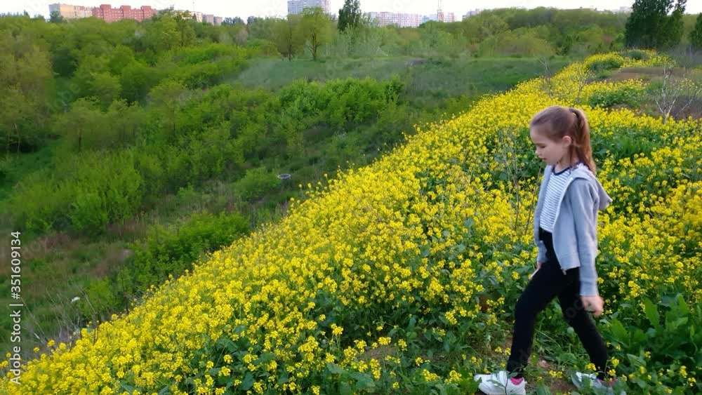 girl makes a selfie standing on the hill with yellow flowers. nature walks. girl makes a selfie standing on the hill with yellow flowers. nature walks.