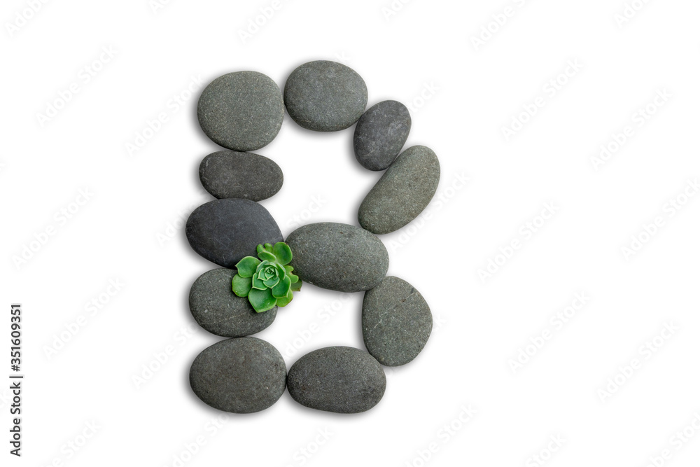 Alphabet letters made of beach stones or ocean stones with Sempervivum isolated on white background.Concept about ECO alphabet With clipping path. Alphabet letters made of beach stones or ocean stones with Sempervivum isolated on white background.Concept about ECO alphabet With clipping path.