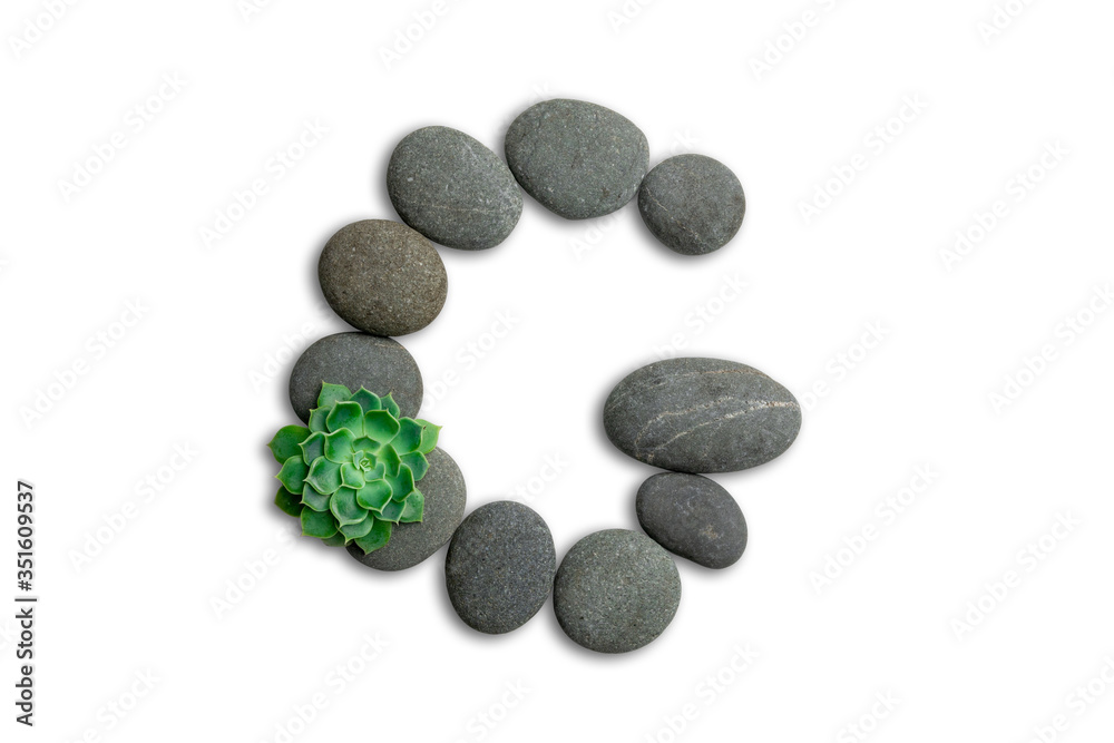 Alphabet letters made of beach stones or ocean stones with Sempervivum isolated on white background.Concept about ECO alphabet With clipping path. Alphabet letters made of beach stones or ocean stones with Sempervivum isolated on white background.Concept about ECO alphabet With clipping path.