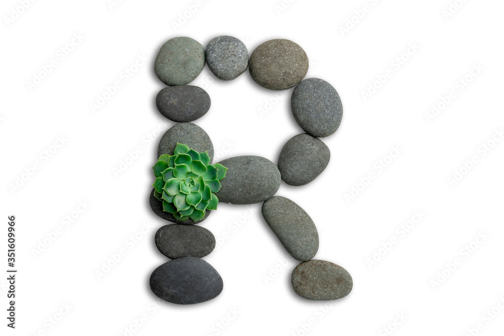 Alphabet letters made of beach stones or ocean stones with Sempervivum isolated on white background.Concept about ECO alphabet With clipping path. Alphabet letters made of beach stones or ocean stones with Sempervivum isolated on white background.Concept about ECO alphabet With clipping path.