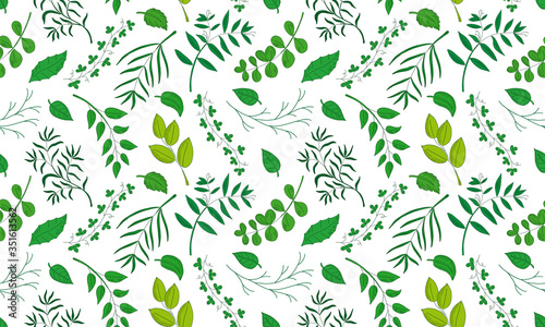 Vector seamless pattern with natural leaves, herbs, grass