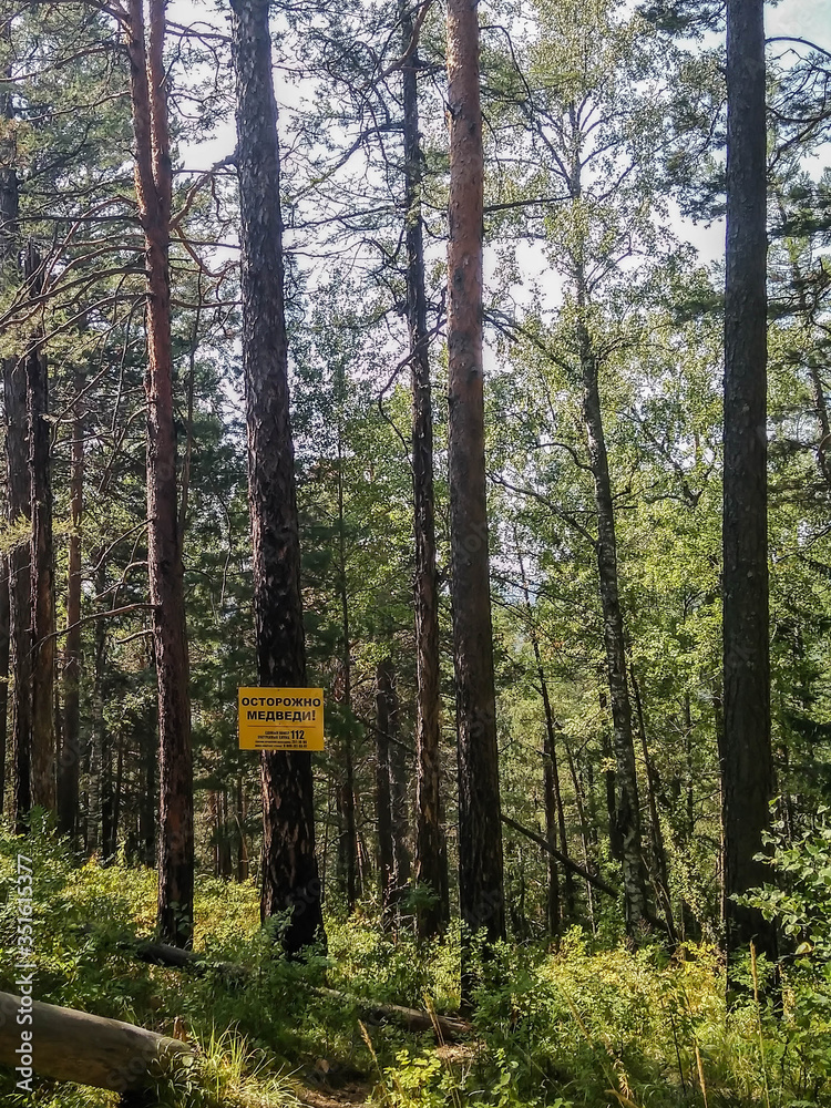 Caution Bears! sign in Stolby national park in Siberia
Caution Bears! sign in Stolby national park in Siberia