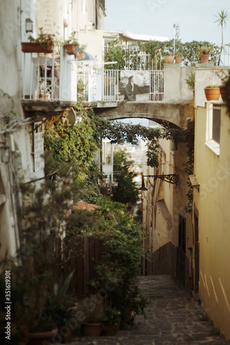 Street in Naples on a summer day. Italy. © Anna