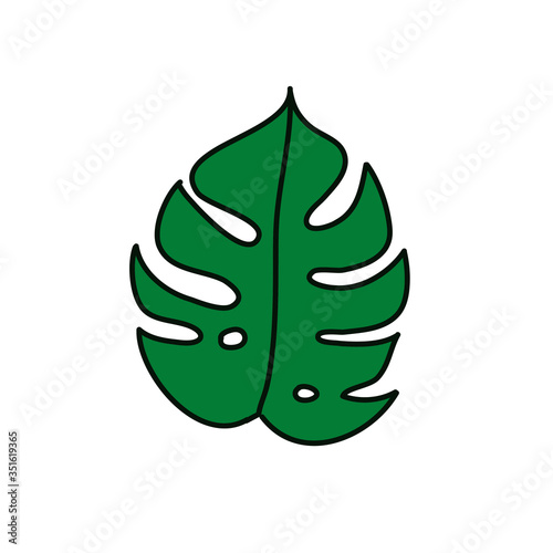 monstera leaf doodle icon  vector illustration