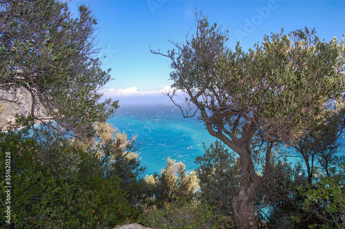 Scenic view of turquoise colored sea water and forest trees in Varigotti, Liguria, Italy. photo