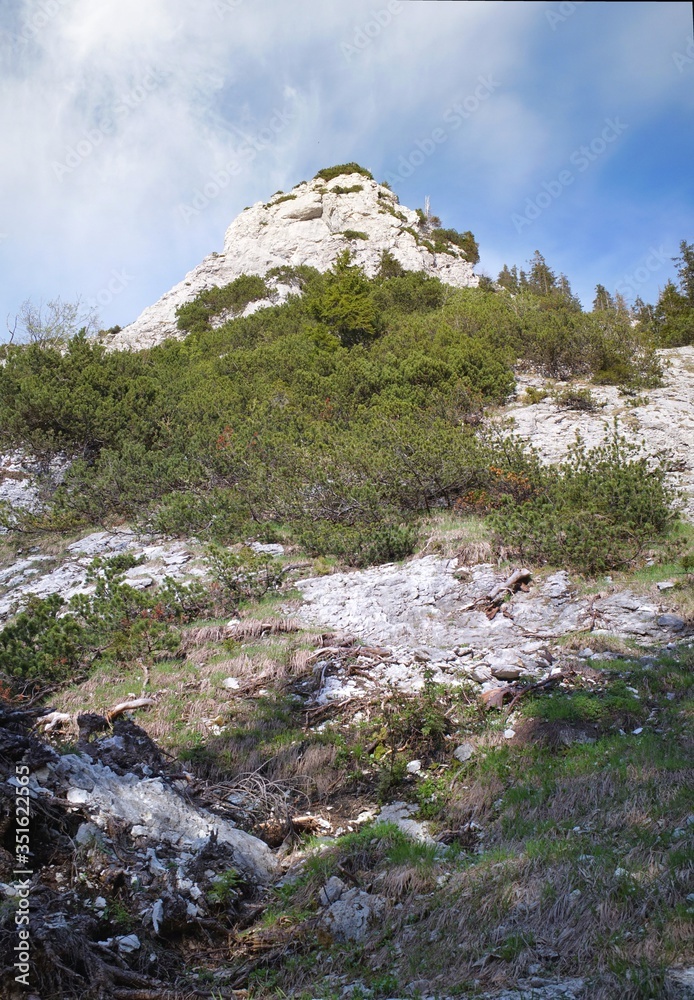 Blick hoch zur Scheibenwand im Chiemgau Blick hoch zur Scheibenwand im Chiemgau