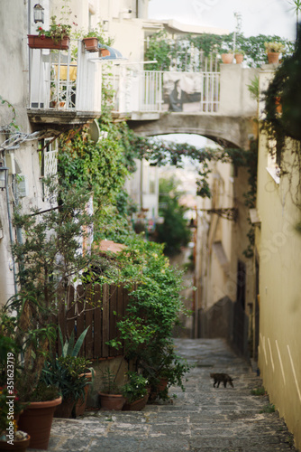 Street in Naples on a summer day. Italy.
