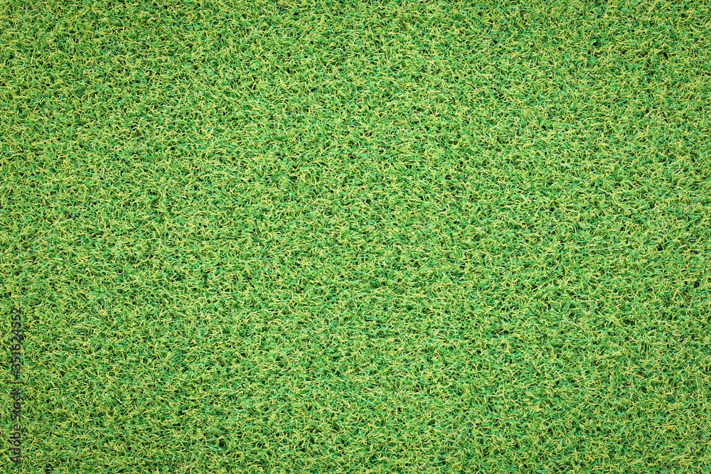 Fototapeta premium green grass background