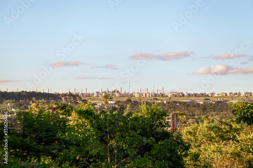 A forest and in the background a large village in the capital of Brazil