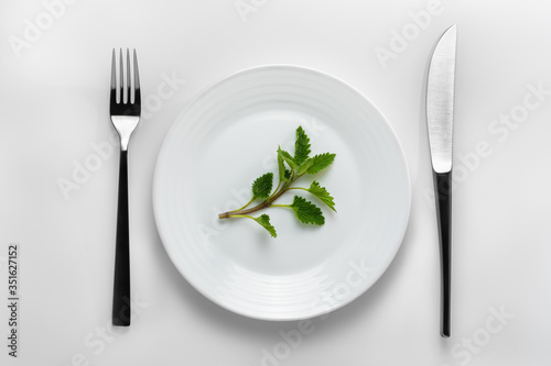 Table setting with a white plate filled with green sprig of mint next to cutleries on a white background. To represent a concept of pharmaceutical addiction, healthy nutrition, pharmaceutical industry