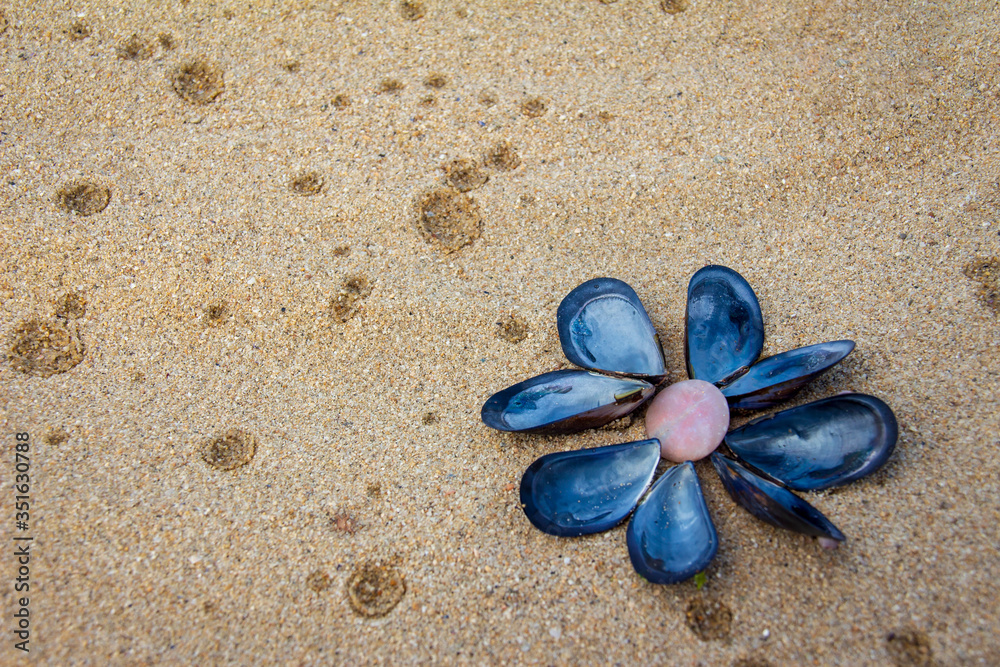 Sea leaflet design - blue shells on golden sand