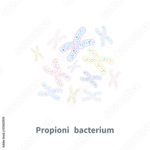 Propionibacterium probiotics on white
