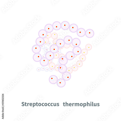 Streptococcus thermophilus probiotics on white